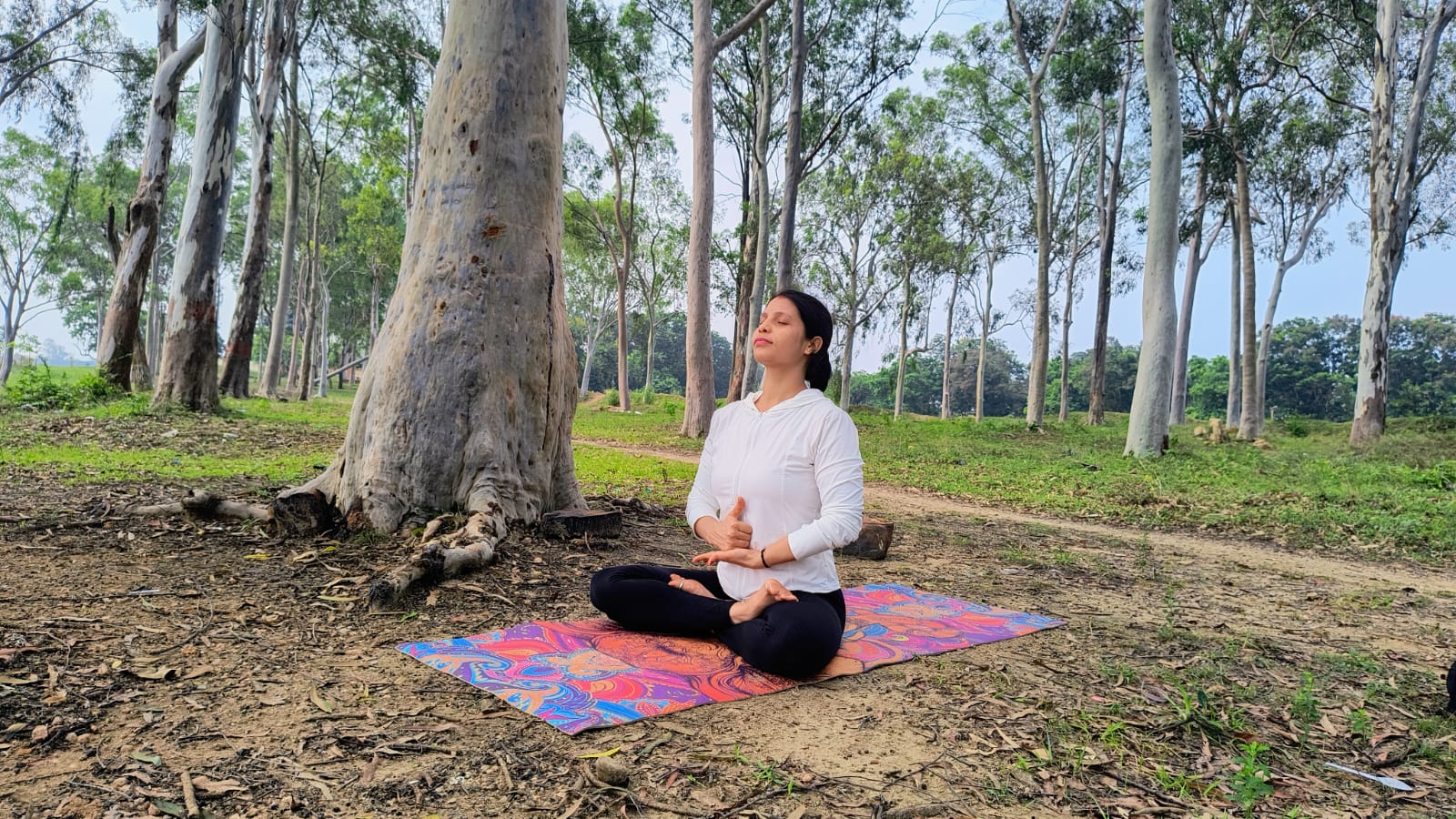 Meditation